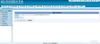 軟件開發(fā)與軟件定制 差異、應(yīng)用與選擇指南